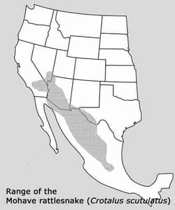 Mojave Rattlesnake range