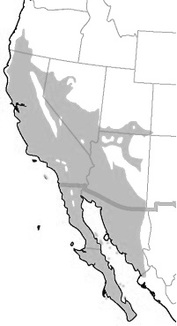 California Kingsnake range